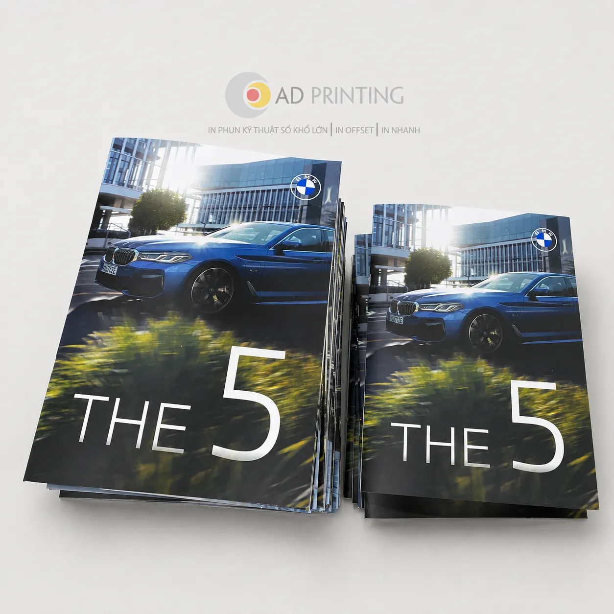 In Catalogue đóng ghim - Ảnh 2