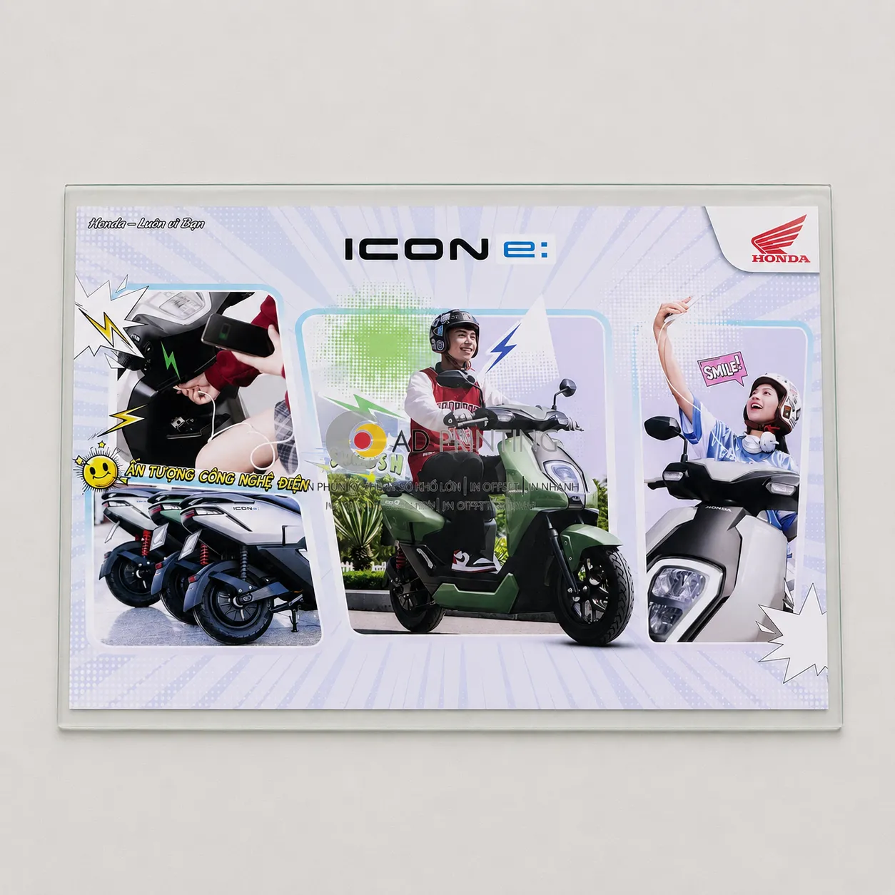 In Decal sữa - Ảnh 2