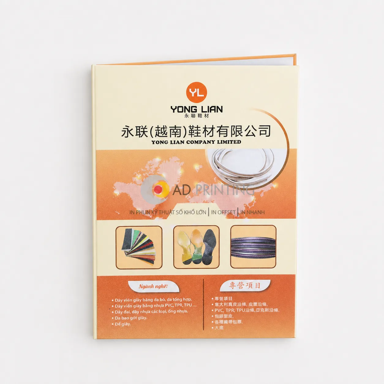 In bìa cứng kẹp hồ sơ - Ảnh 3