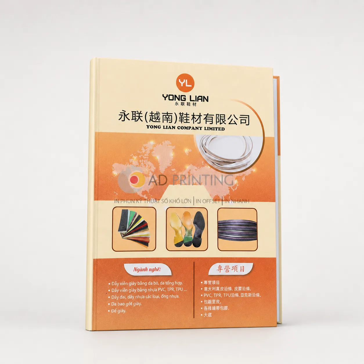 In bìa cứng kẹp hồ sơ - Ảnh 2