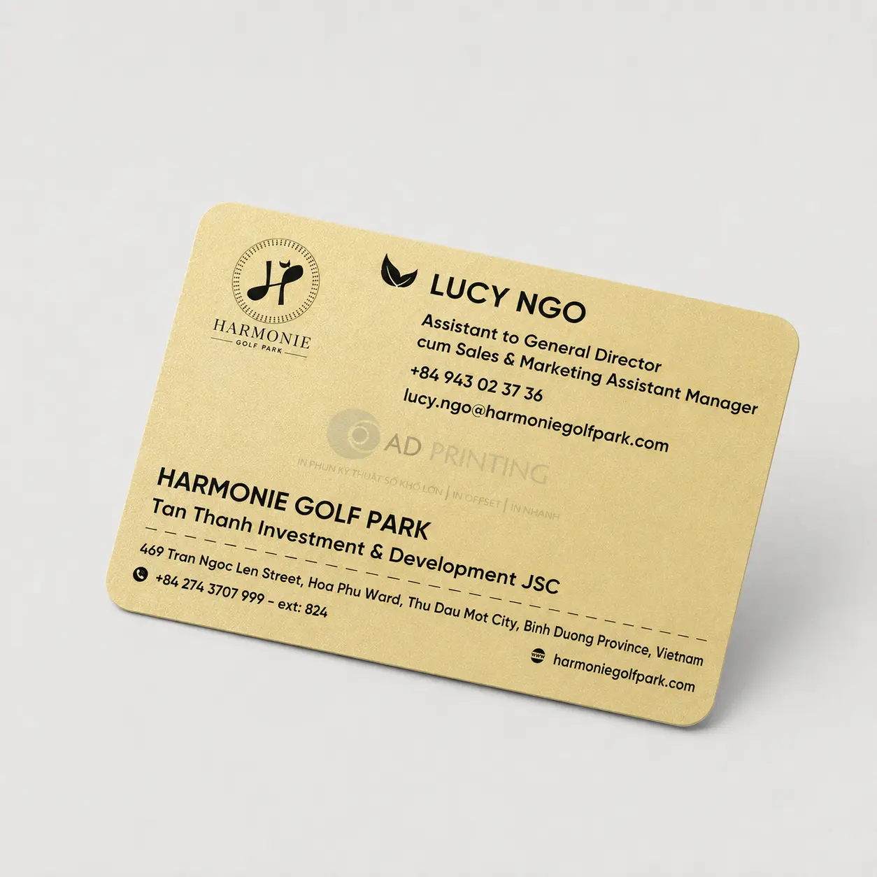 In name card giấy mỹ thuật - Ảnh 2