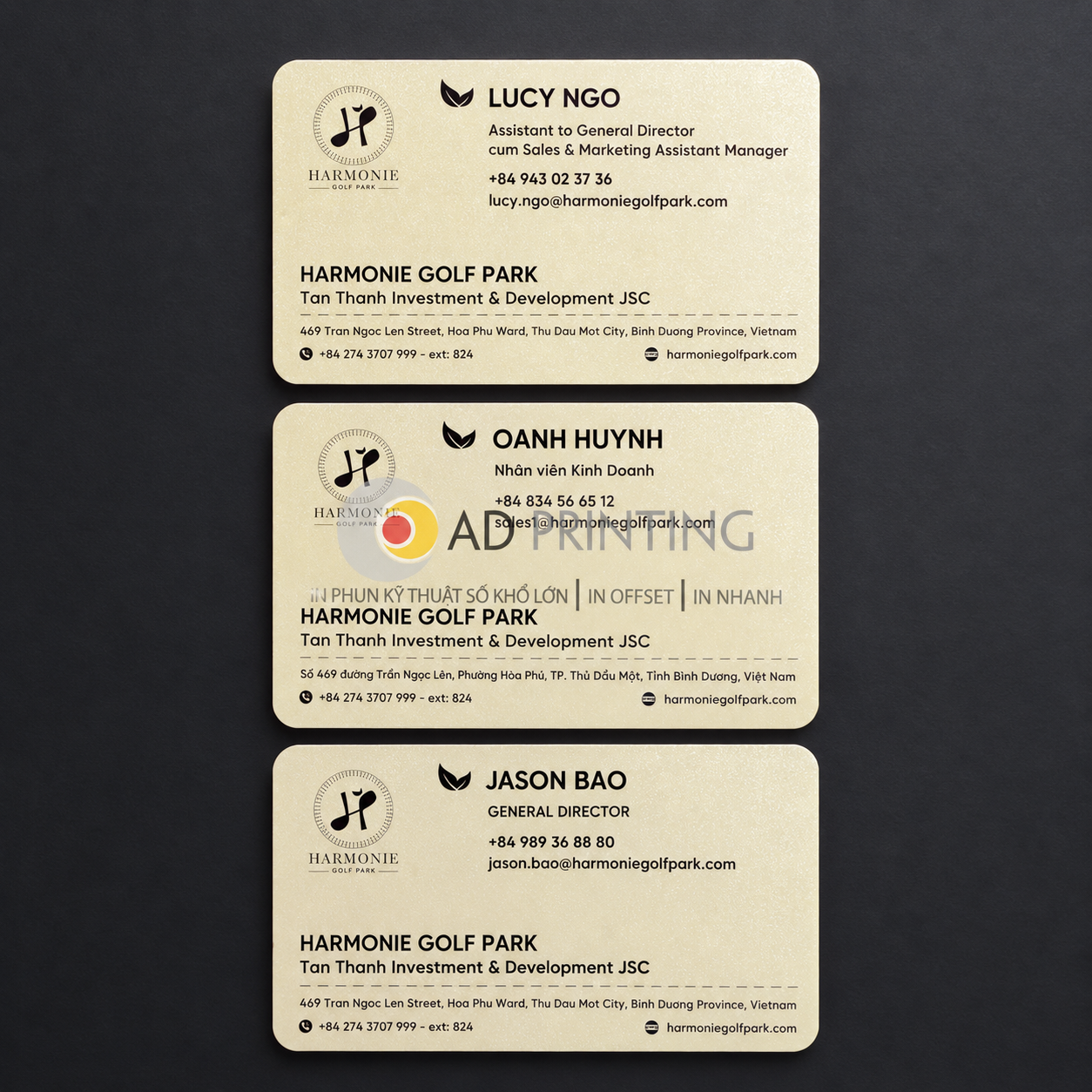 In thẻ nhựa PVC ánh kim - Ảnh 3