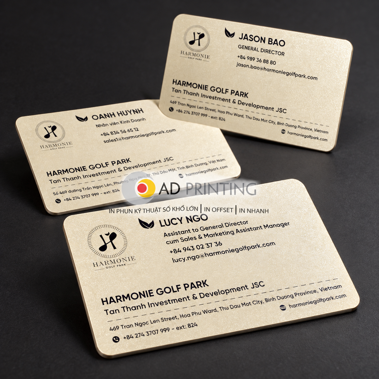 In thẻ nhựa PVC ánh kim - Ảnh 2