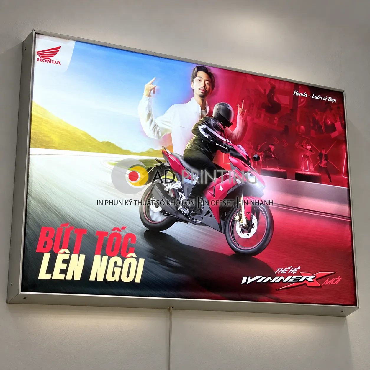 In UV vải Silk - Ảnh 3
