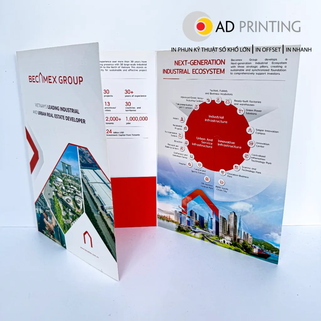 In Folder kiểu dáng đặc biệt - Ảnh 2